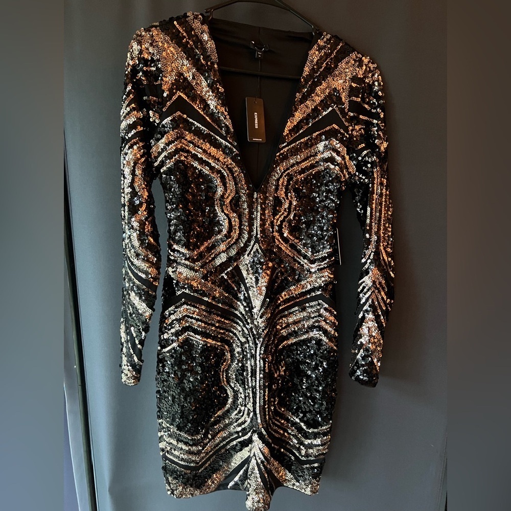 Longs sleeve perfect dress